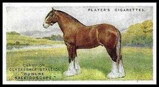 15PBLS 11 The Clydesdale.jpg